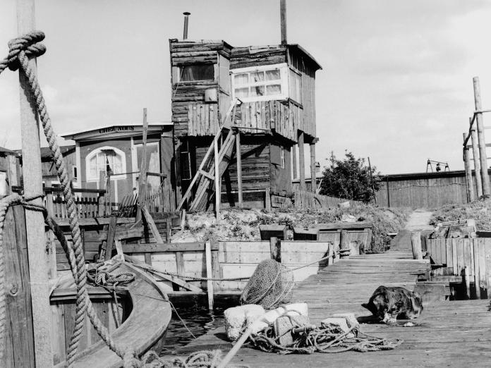 Nokkens havneområde
