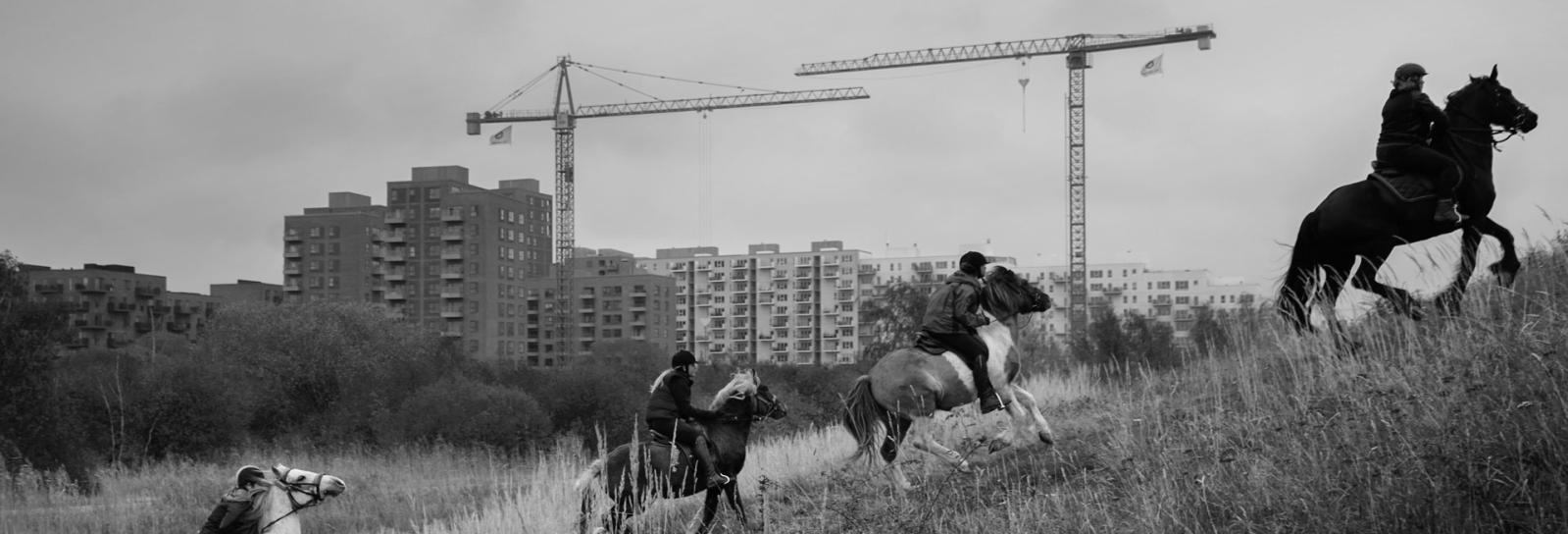 Asger Korsgaards vinderbillede: Ryttere med Ørestad i baggrunden